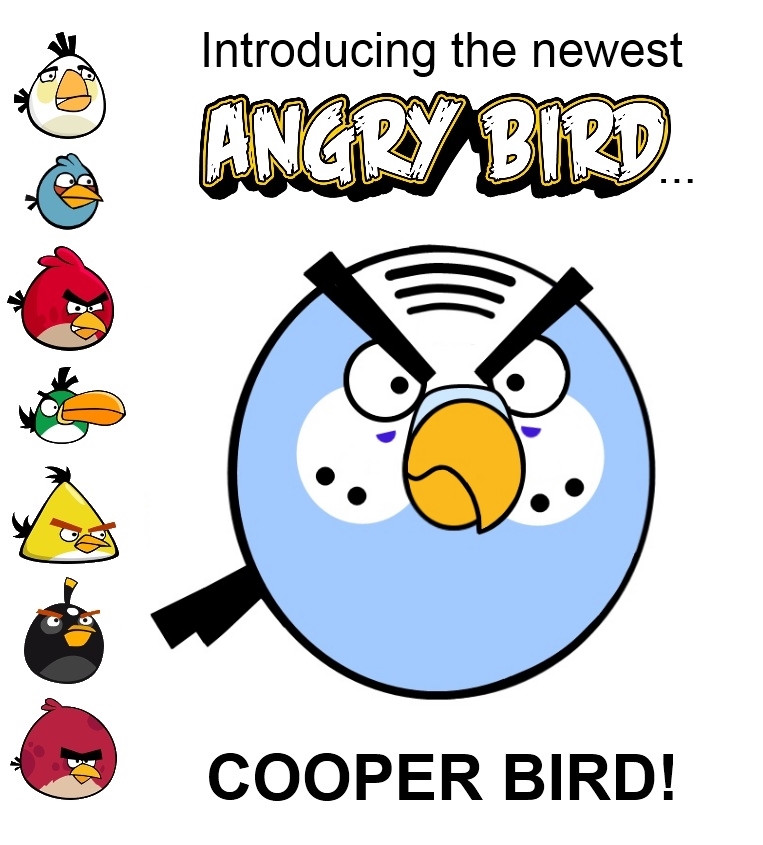 angrycooperbird