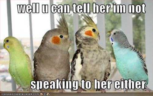 funny-pictures-birds-not-speaking-parrots.jpg