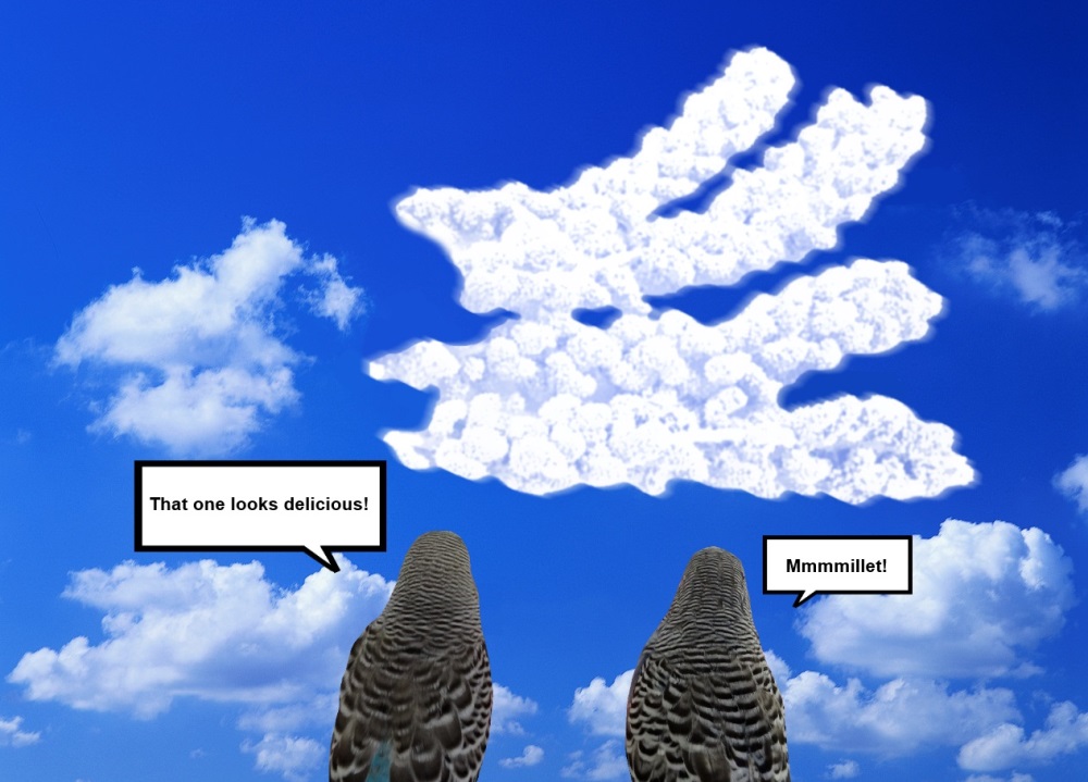 cloudmillet