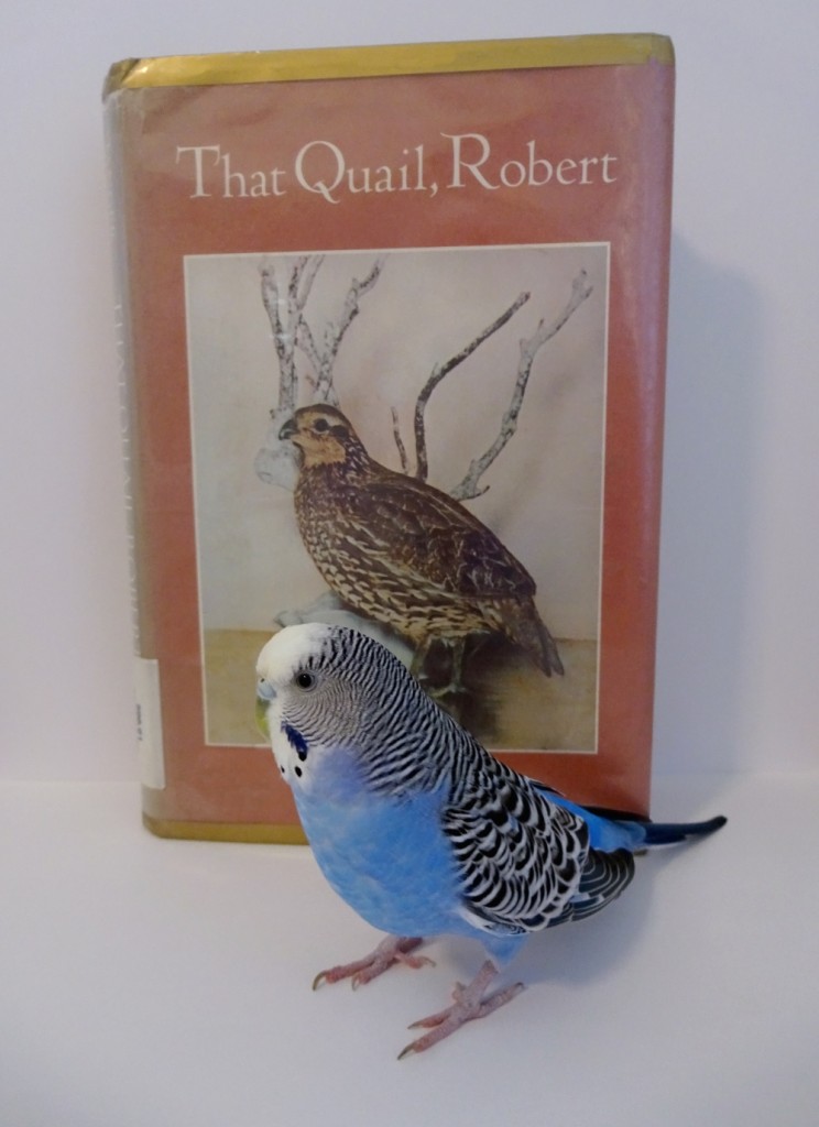 that quail robert by margaret a stanger
