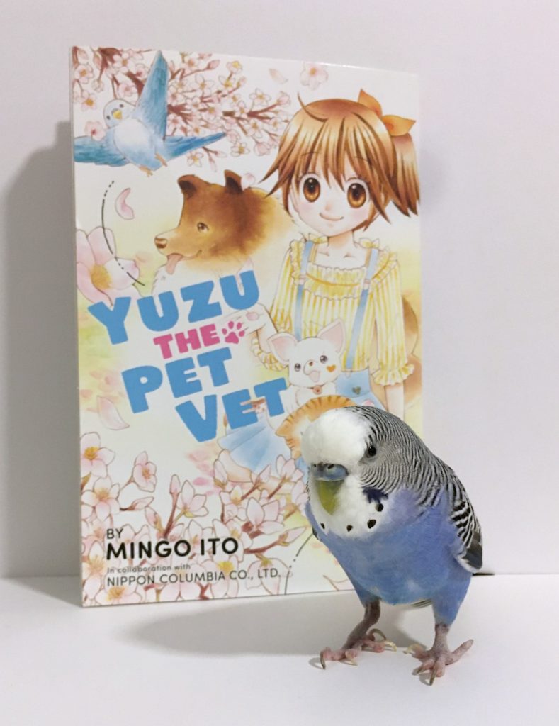 Yuzu the Pet Vet Review